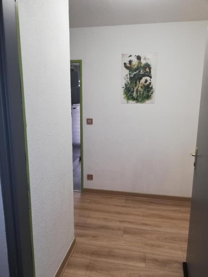 Grand T3 Avec Clim, Parking Et Terrasse Privative - Agen Apartment Bagian luar foto