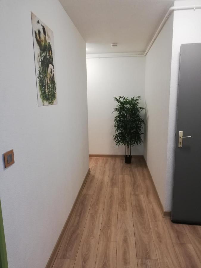Grand T3 Avec Clim, Parking Et Terrasse Privative - Agen Apartment Bagian luar foto